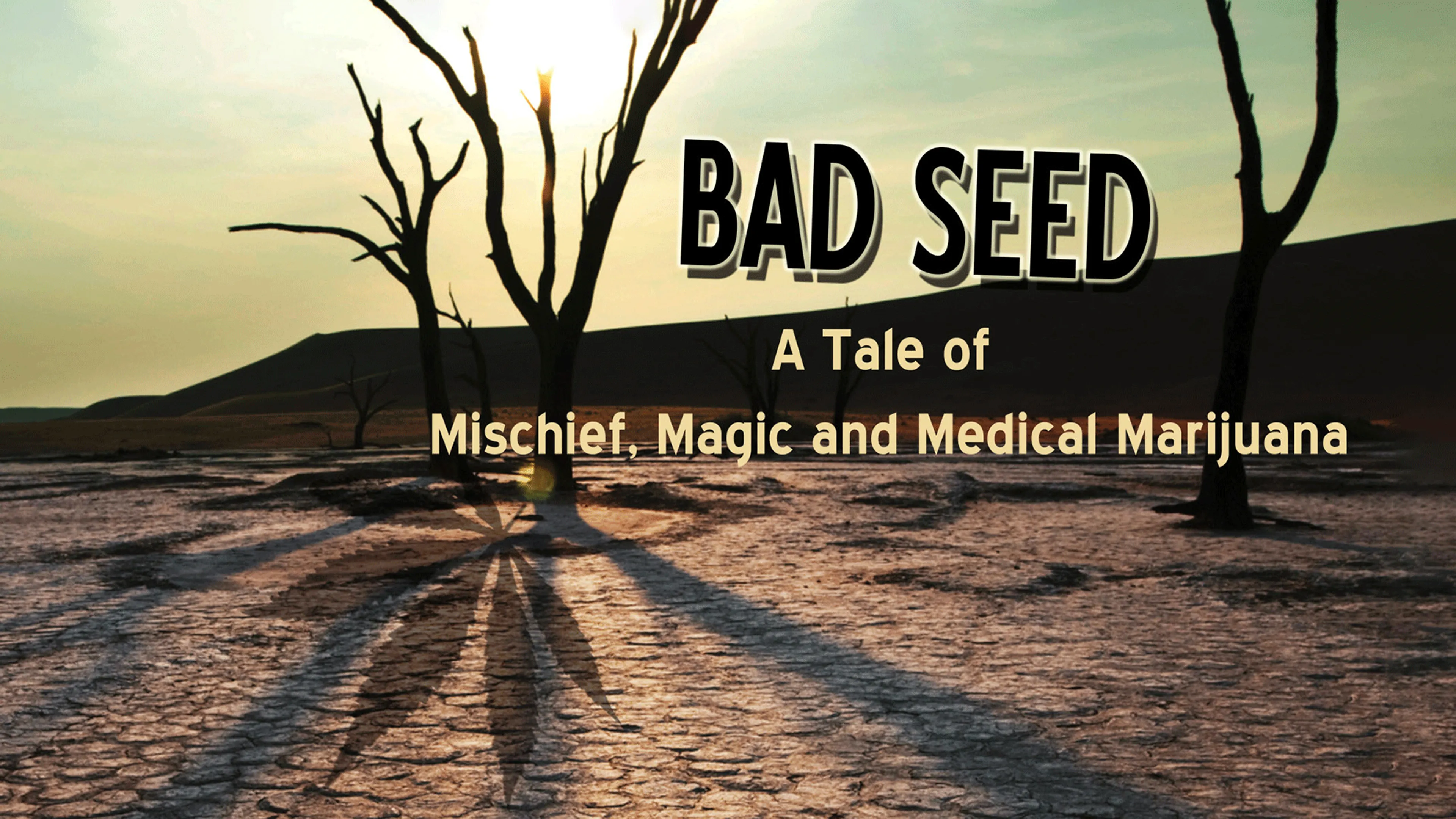 Bad Seed: A Tale of Mischief, Magic, and Medical Marijuana poster